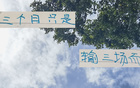 申花8月前僅敗三場，顯露霸氣。