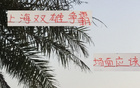 滬申花海港爭霸，雙雄對攻精彩，馬寧助陣。