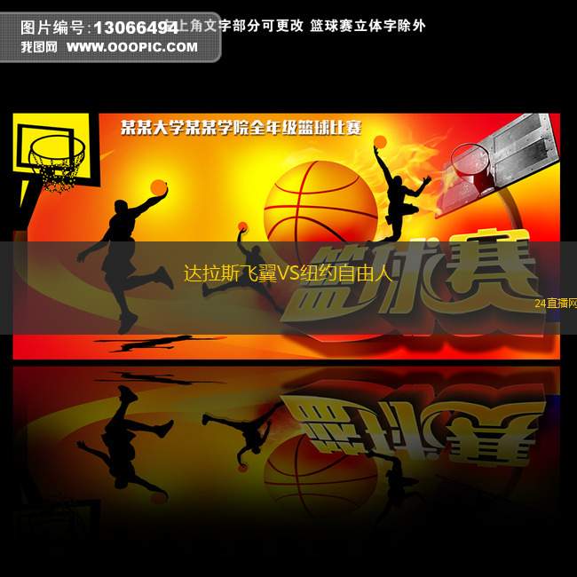 達(dá)拉斯飛翼VS紐約自由人
