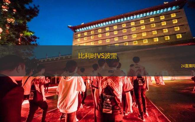 比利時VS波黑
