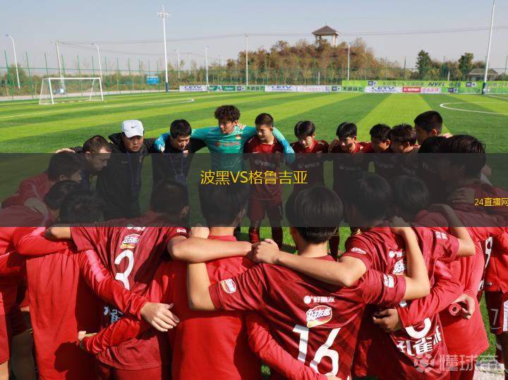 波黑VS格魯吉亞